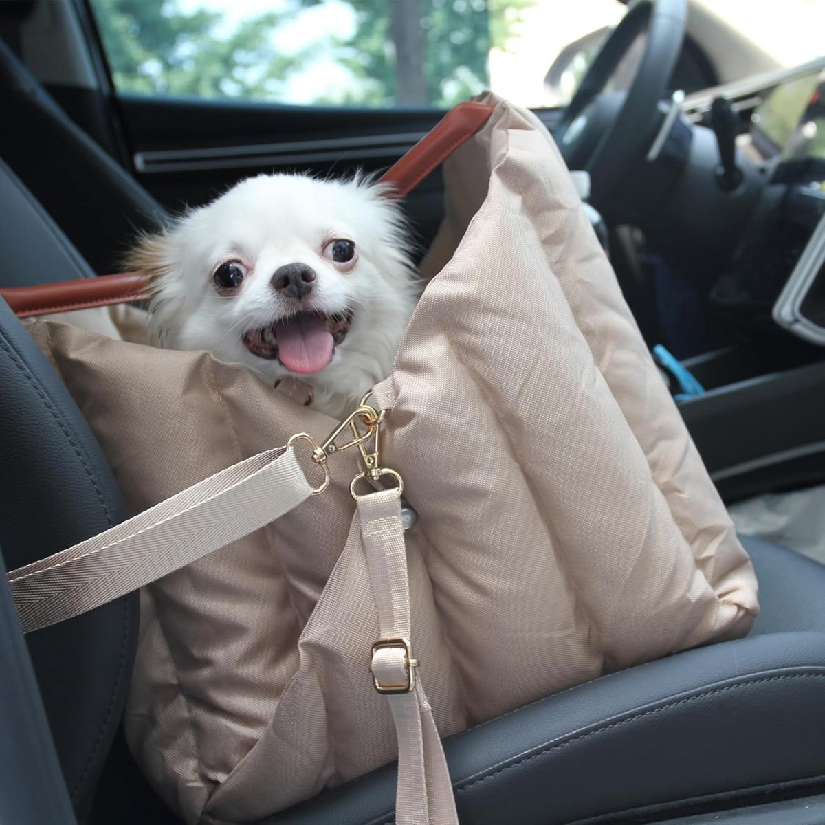 Veilig Hondenautostoeltje voor Kleine en Middelgrote Honden met Veiligheidsgordel