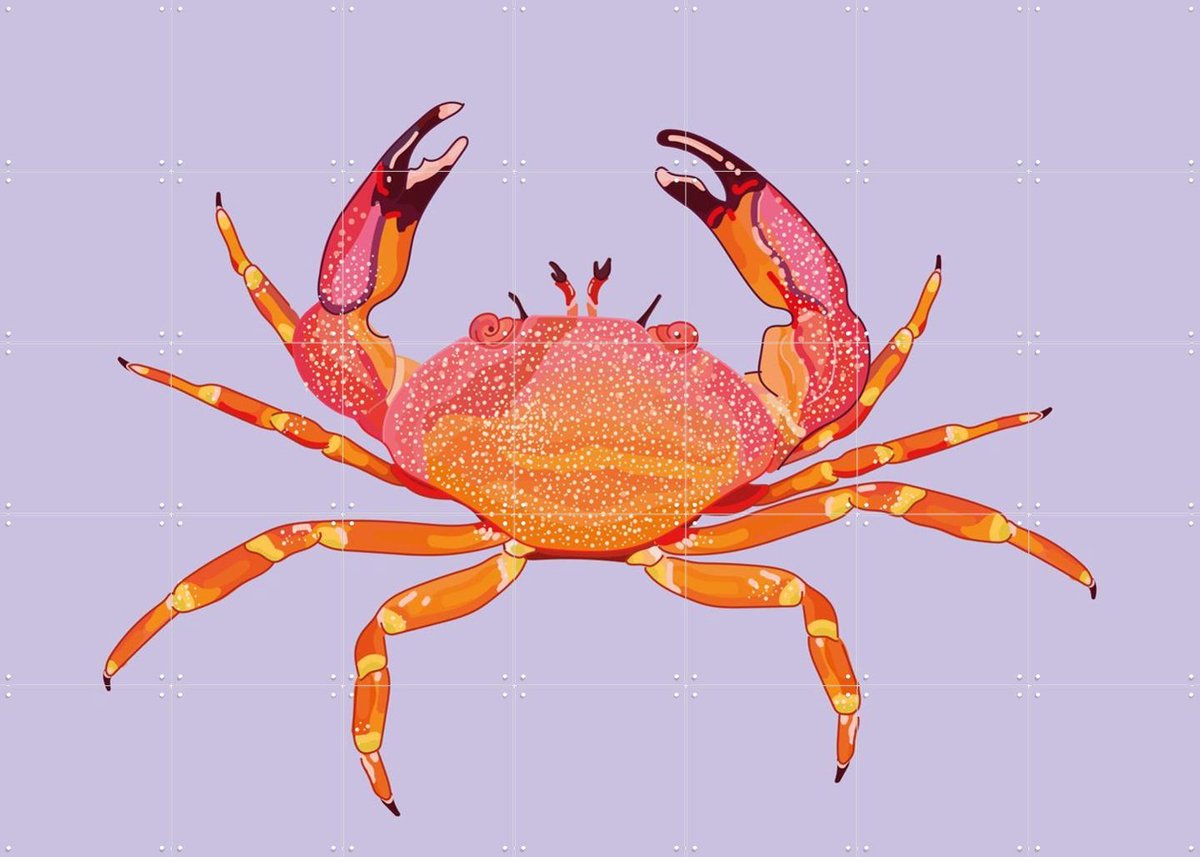 IXXI Sao, Lotte Snoek - 140 x 100 cm - Gratis ophangtool - Grote wanddecoratie en posters - Kleurrijk, Grafisch Ontwerp, Digitale Kunst, Illustraties