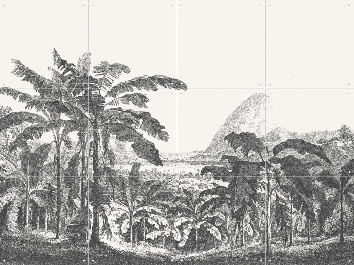 IXXI Palms and Mountain, Aster Edition - 80 x 60 cm - Gratis ophangtool - Grote wanddecoratie en posters - Naturalisme, Illustraties, Vintage