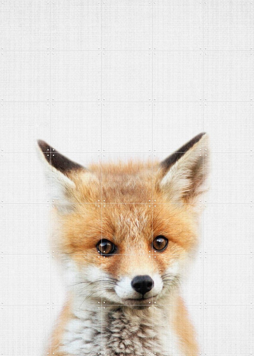 IXXI Print 350 Fox, Lila + Lola - 100 x 140 cm - Gratis ophangtool - Grote wanddecoratie en posters - Fotografie, Illustraties, Kinderkamer