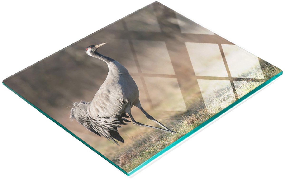Multifunctionele decoratieve snijplank van gehard glas voor de keuken, Czapla, 60x52 cm