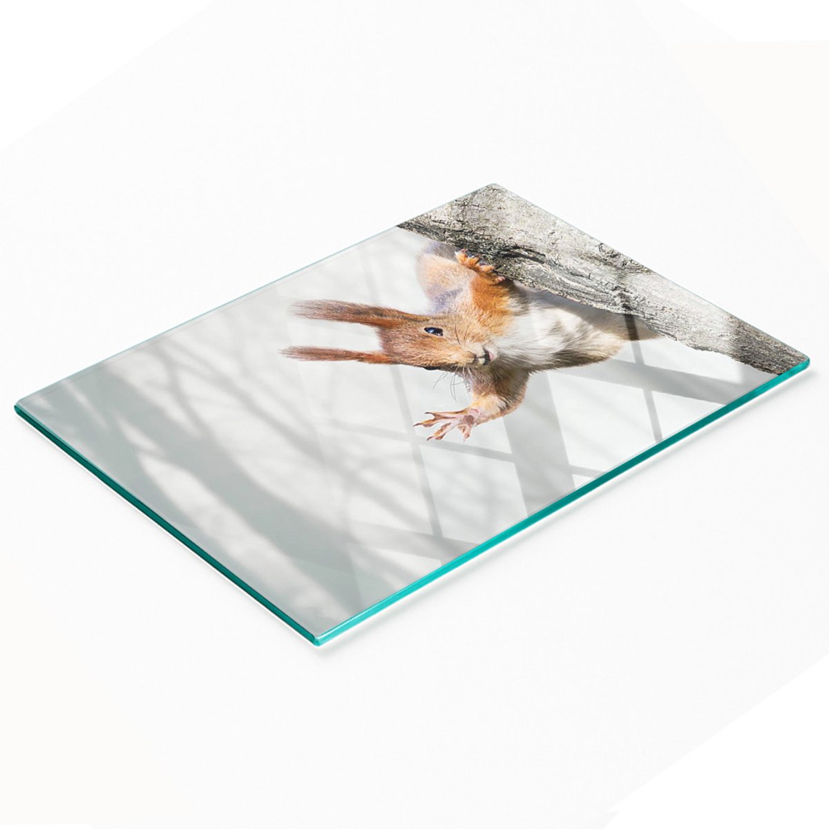 Decoratieve glazen snijplank met eekhoornafbeelding, 80x52 cm
