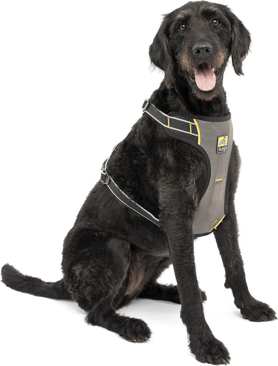 Honden Autotuig - Veilig Reisvest - Veilig Reizen - Crash Getest - Extra Groot - Zwart Grijs