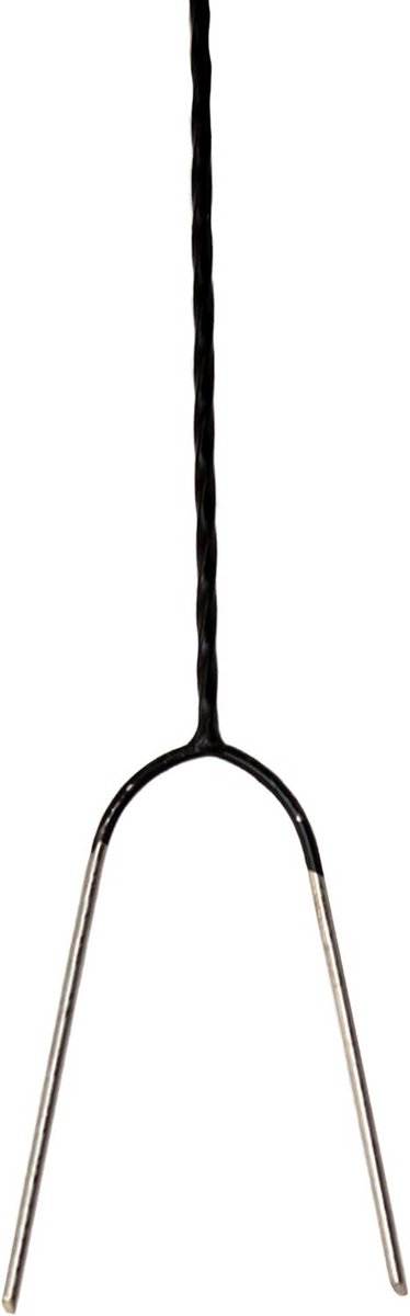 Lange RVS Spies voor Barbecue en Grill - 108 cm