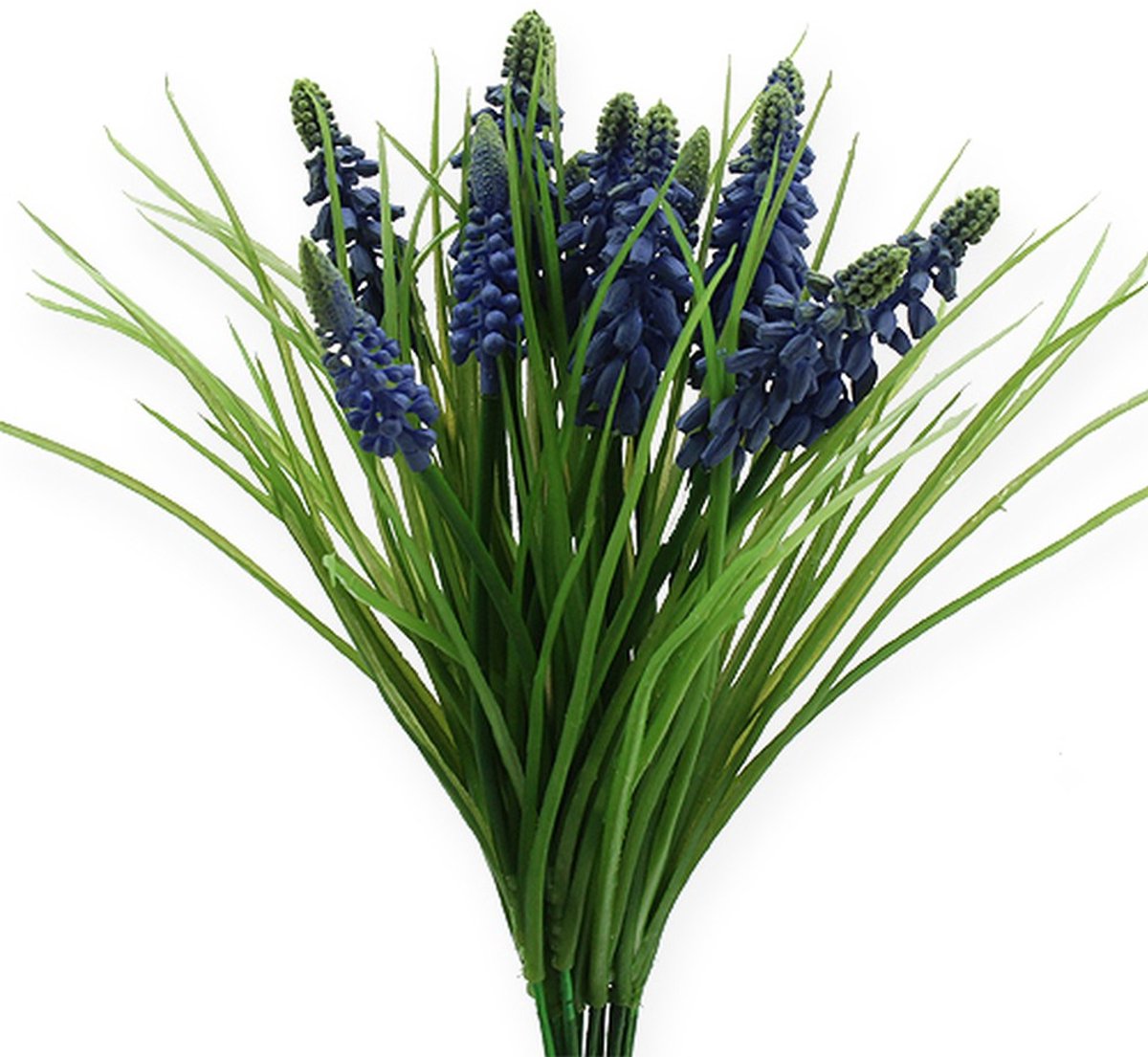 Viana Druifjes 28cm - 30cm Blauw 15 stuks