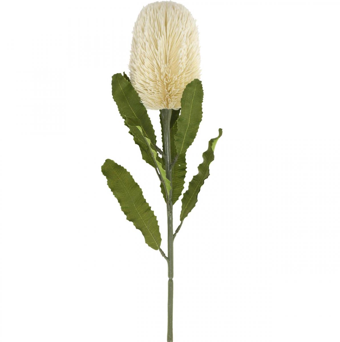 Viana Kunstbloem Banksia Wit Crème Kunstmatige Exoten 64cm Natuur