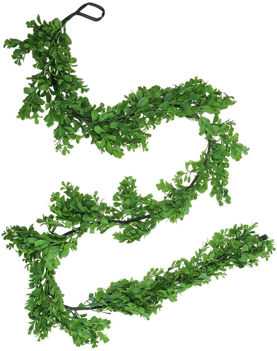 Buxus slinger groen 180cm