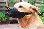 Beeztees Veiligheidsmuilband - Hond - M-Large - 16 cm