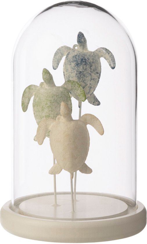 Glazen stolp met drie decoratieve schildpadden in de kleuren crème, lichtgroen en blauw.