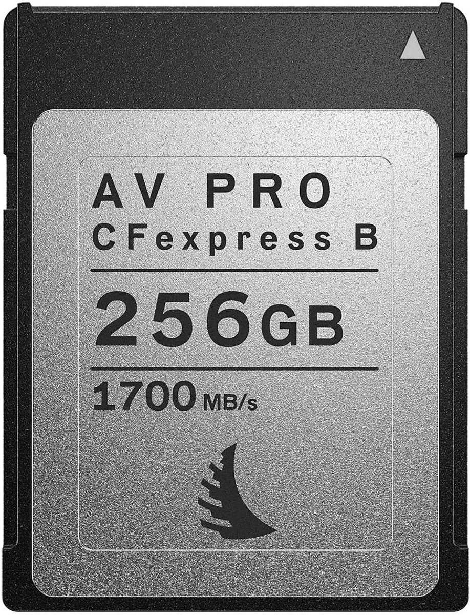 CFexpress Type B geheugenkaart 256GB voor Hoge Snelheid en Betrouwbare Opname