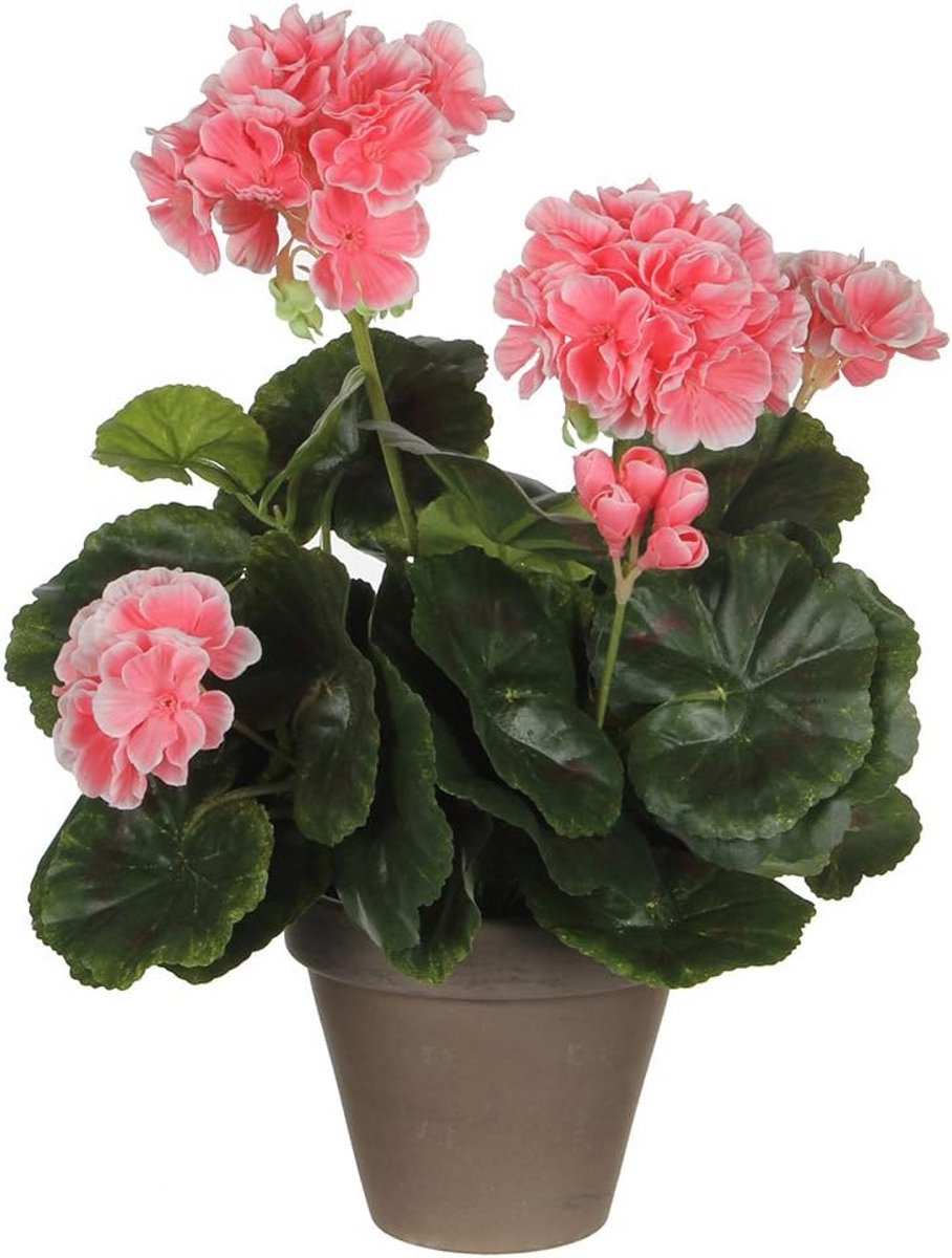 Realistische Vlinderorchidee Kunstplant Polyester H34xD20cm