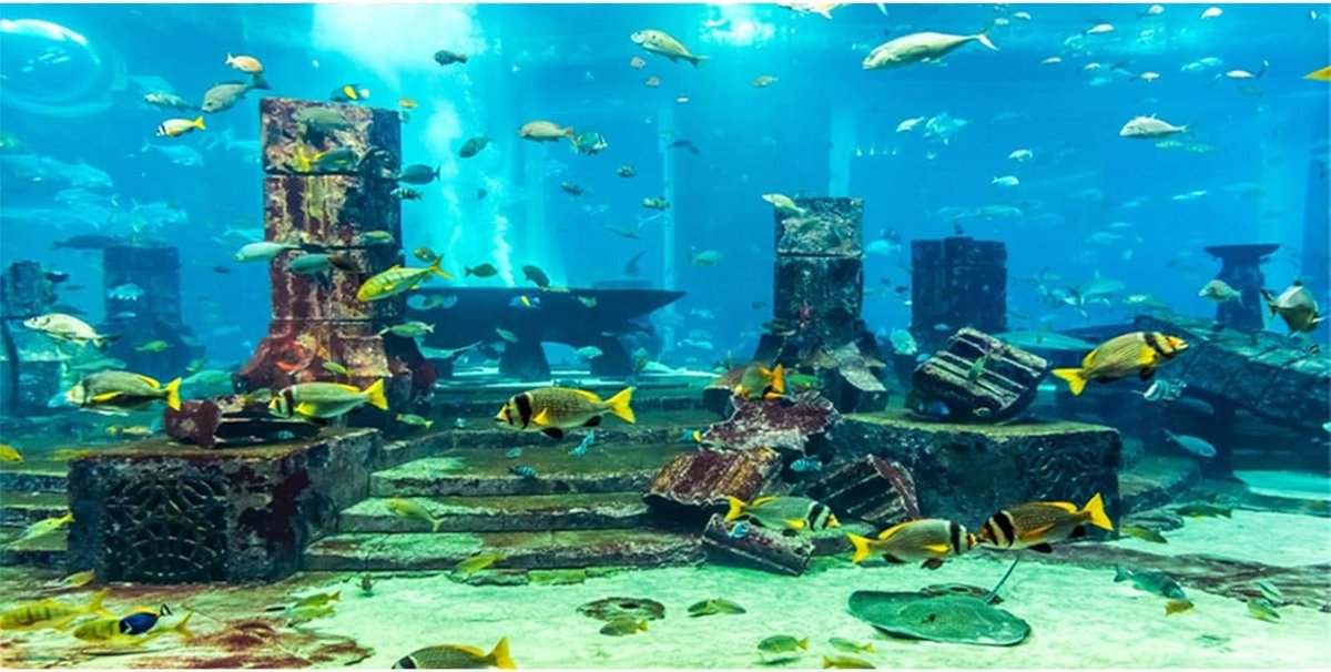 120x50cm Aquarium Achtergrond Onderwater Wereld Koraal en Tropische Vissen Vinyl Poster