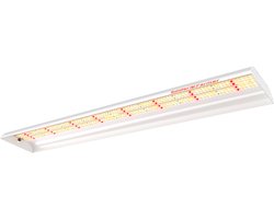 Spider Farmer SF600 - LED Kweeklamp - 74 watt - Groeilamp voor planten binnen - Full spectrum voor Groei en Bloei