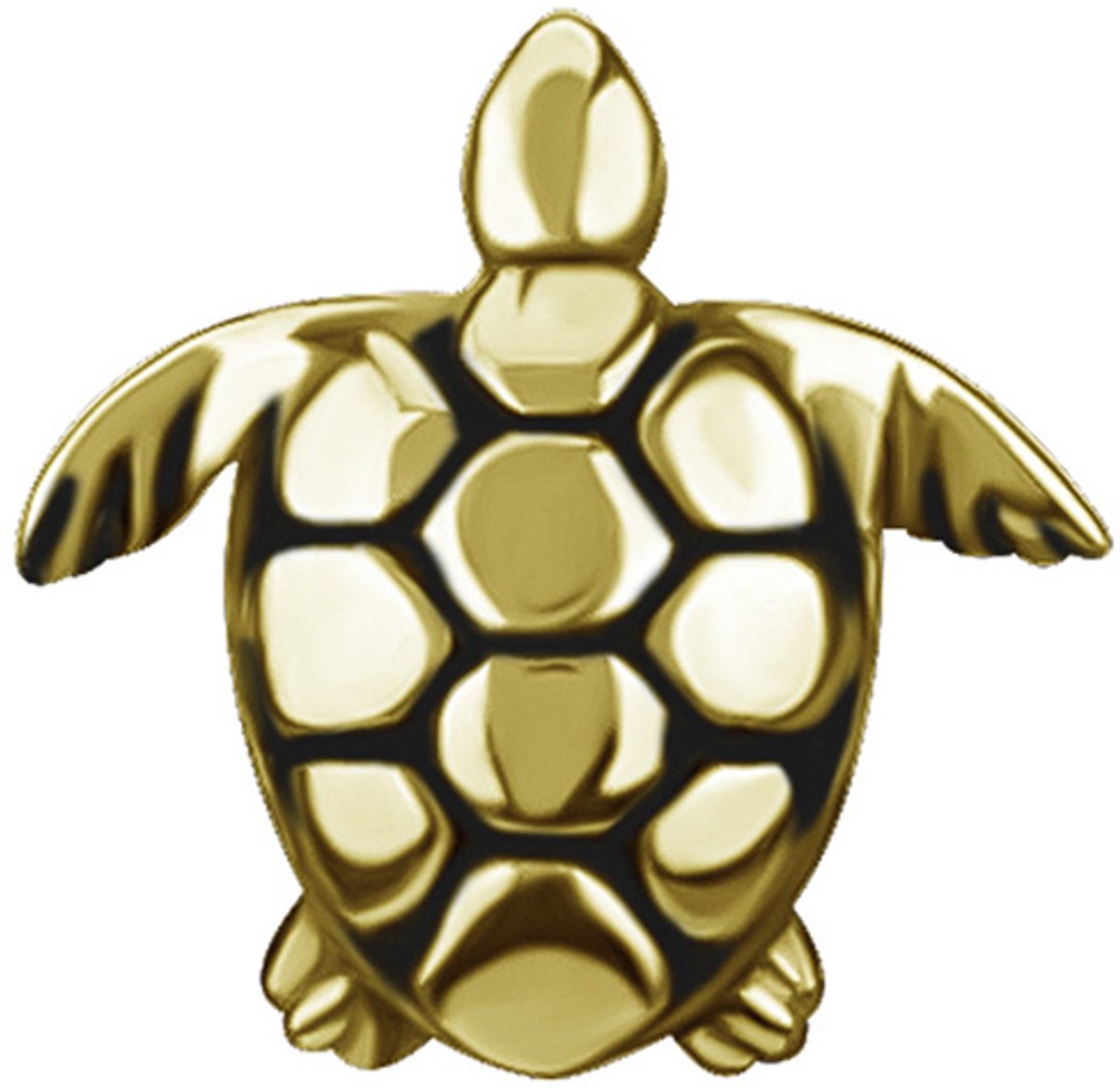 Crazy Needles Serie - Gouden Push-In Moer - Schildpad