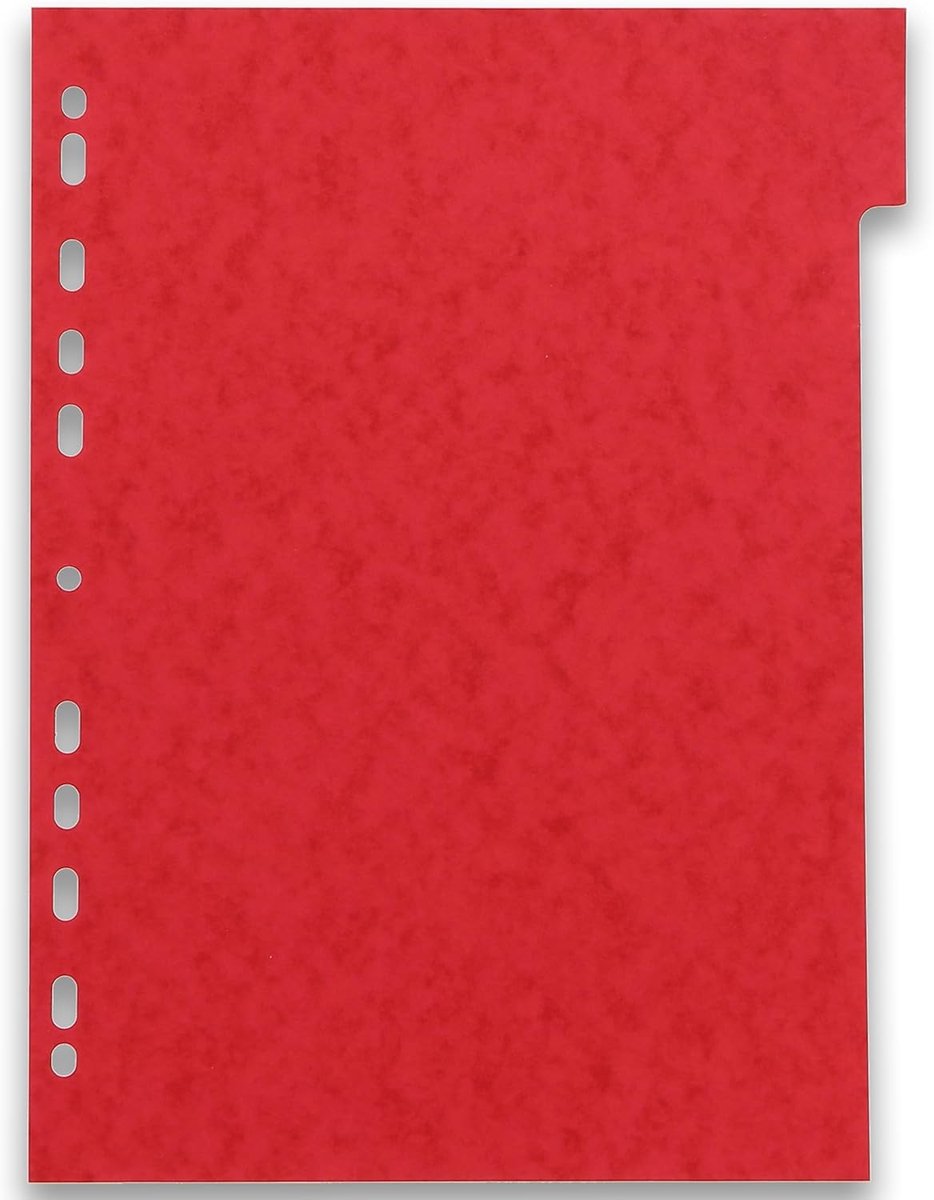 Papieren Tabbladen - Indexkaarten Scheidingsbladen - Documenten Sorteren - 6 Posities A4 - 220 g Dikte - Meerdere Kleuren