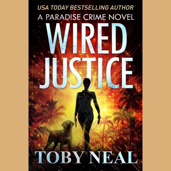 Wired Justice - cover