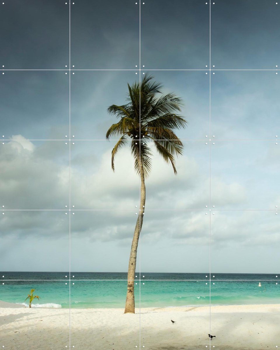 IXXI Whispering Palm Above The Caribbean Silence, Claire Droppert - 80 x 100 cm - Gratis ophangtool - Grote wanddecoratie en posters - Fotografie