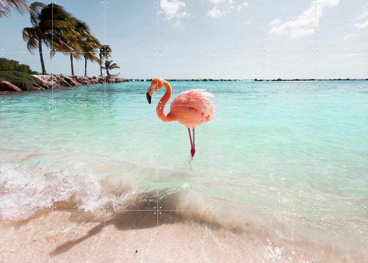 IXXI Flamingo Series Crystal Clear, Claire Droppert - 140 x 100 cm - Gratis ophangtool - Grote wanddecoratie en posters - Kleurrijk, Fotografie