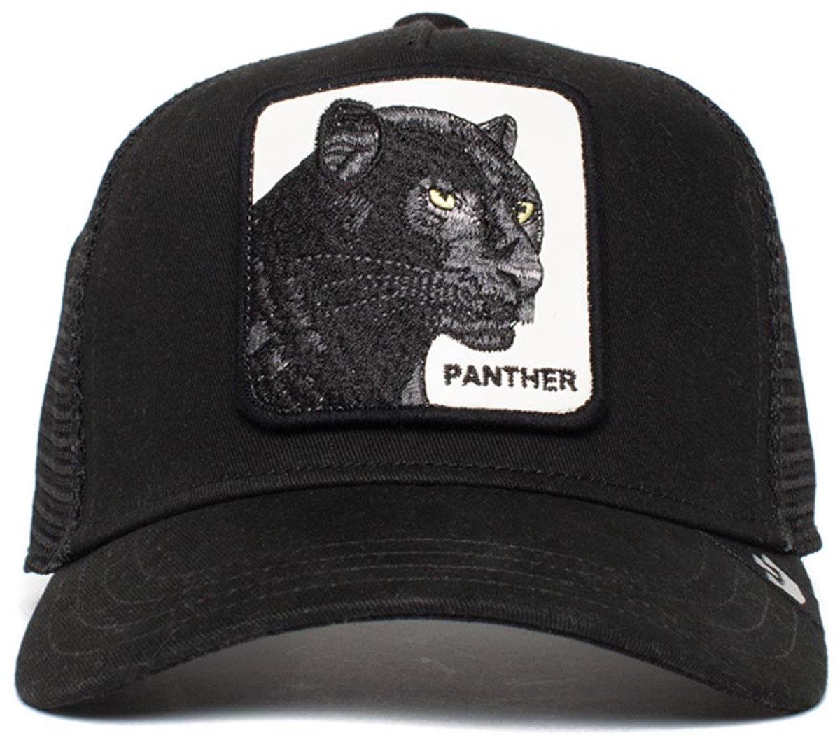 Little Panther