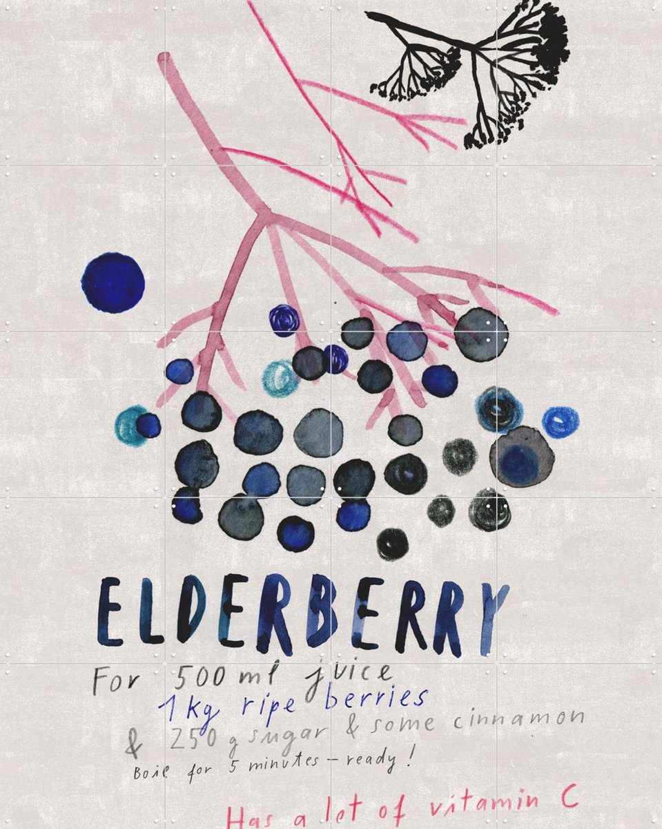 IXXI Elderberry, Signorinah - 80 x 100 cm - Gratis ophangtool - Grote wanddecoratie en posters - Illustraties, Aquarel, Speels, Keuken, Eetkamer
