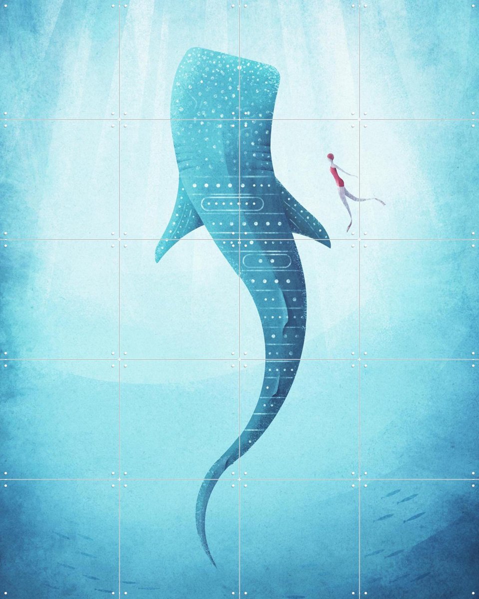 IXXI Whale Shark, Henry Rivers - 80 x 100 cm - Gratis ophangtool - Grote wanddecoratie en posters - Kleurrijk, Mancave, Wilde dieren, Surfen, Zomer