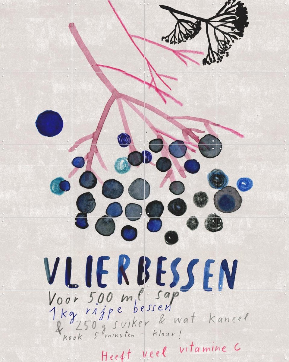 IXXI Vlierbessen, Signorinah - 80 x 100 cm - Gratis ophangtool - Grote wanddecoratie en posters - Illustraties, Eten & Drinken, Natuur