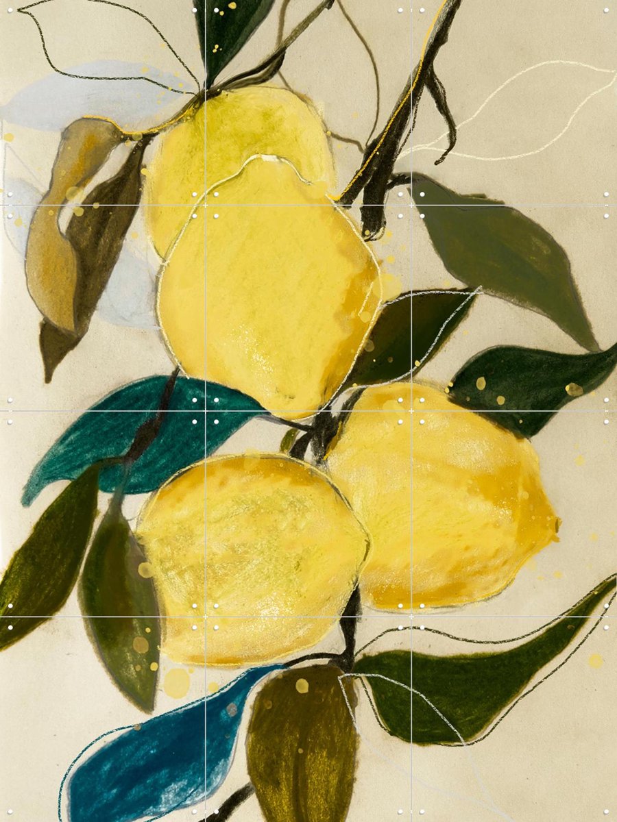 IXXI Lemon Study 1, Leigh Viner - 60 x 80 cm - Gratis ophangtool - Grote wanddecoratie en posters - Abstract, Kleurrijk, Eten & Drinken, Botanisch