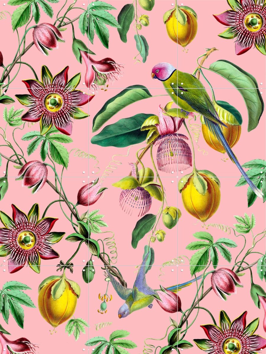 IXXI Botanical Garden, Creative Lab Amsterdam - 60 x 80 cm - Gratis ophangtool - Grote wanddecoratie en posters - Kleurrijk, Babykamer, Kinderkamer