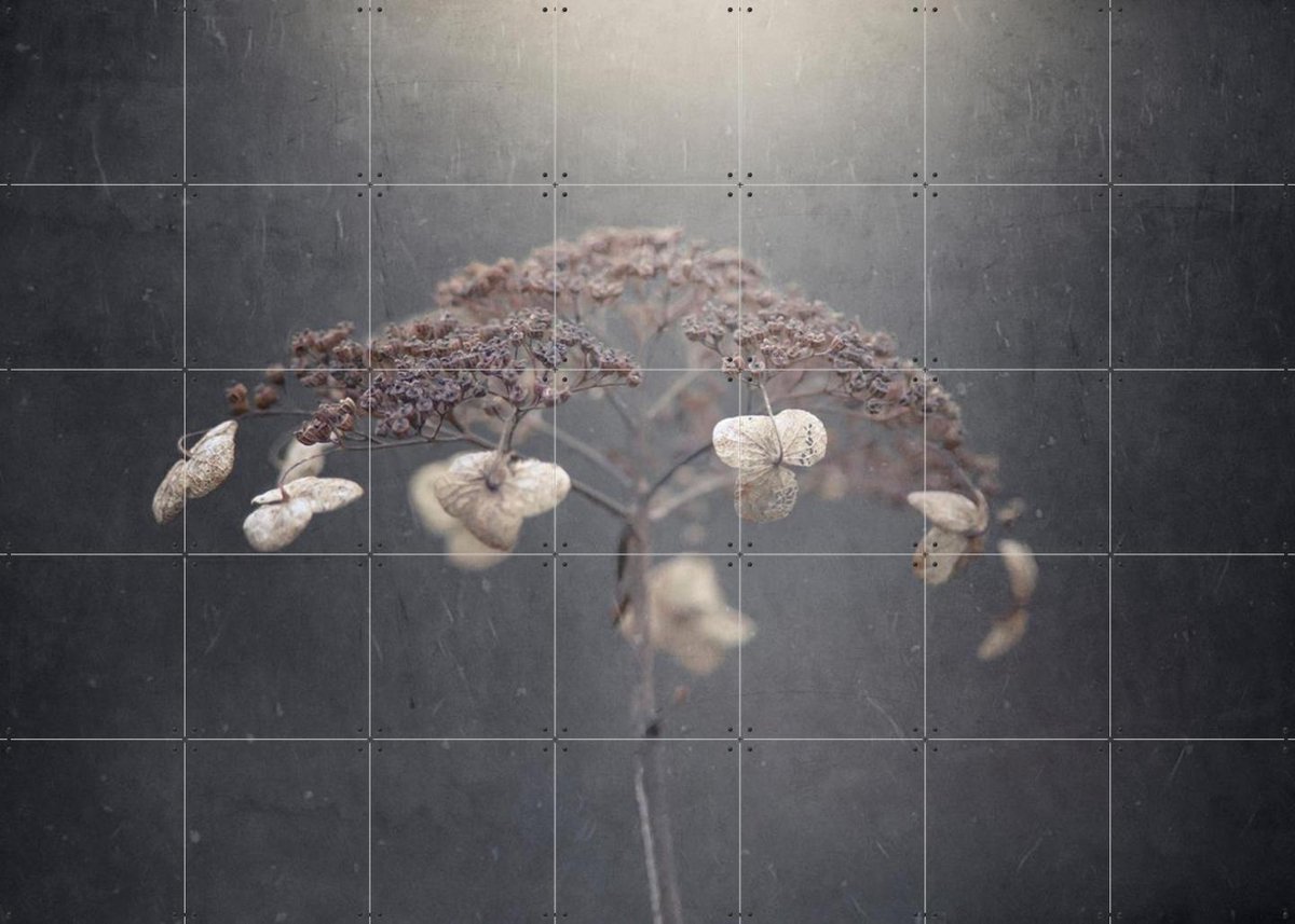 IXXI White Hydrangea, Takashi Suzuki & Various - 140 x 100 cm - Gratis ophangtool - Grote wanddecoratie en posters - Fotografie, Slaapkamer