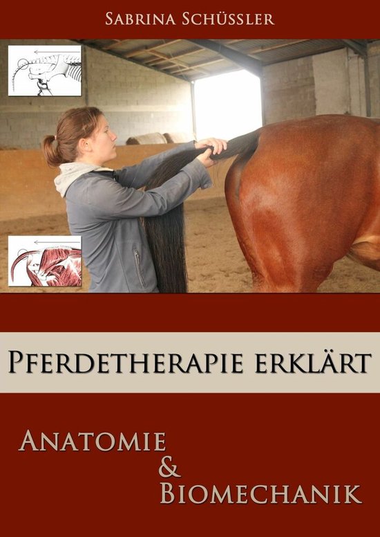 Pferdetherapie erklärt - cover