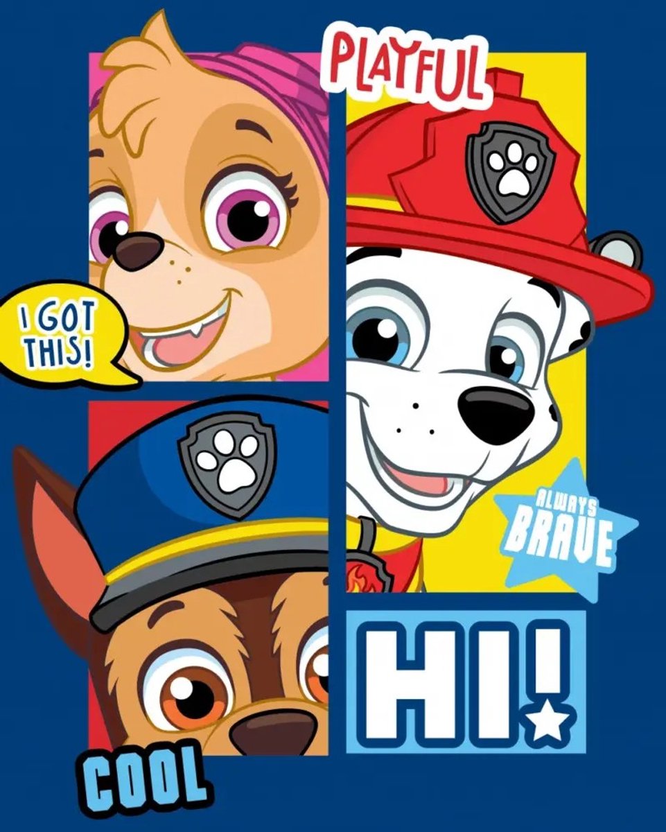 PAW Patrol fleece plaid playful - 100 x 140 cm Multicolor