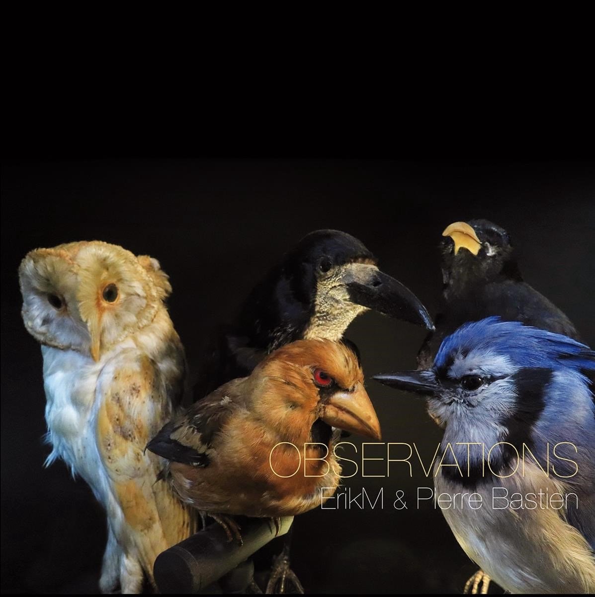 ErikM & Pierre Bastien - Pbservations (LP) (Coloured Vinyl)