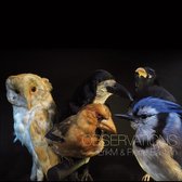 ErikM & Pierre Bastien - Pbservations (LP) (Coloured Vinyl)