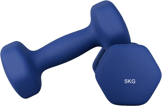 SONGMICS SYL910Q01 - Hexagon Dumbbell Set - 2 x 5 kg - Voor Krachttraining Thuis