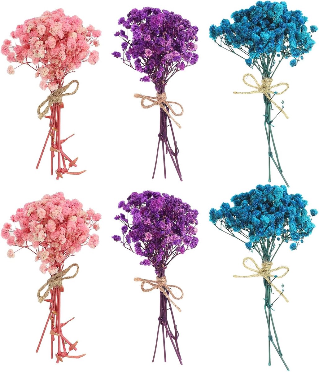 Mini boeket bloemen - Gedroogde bloemen - Knutselen en decoratie - Natuurlijke materialen - 6 stuks - Roze paars blauw
