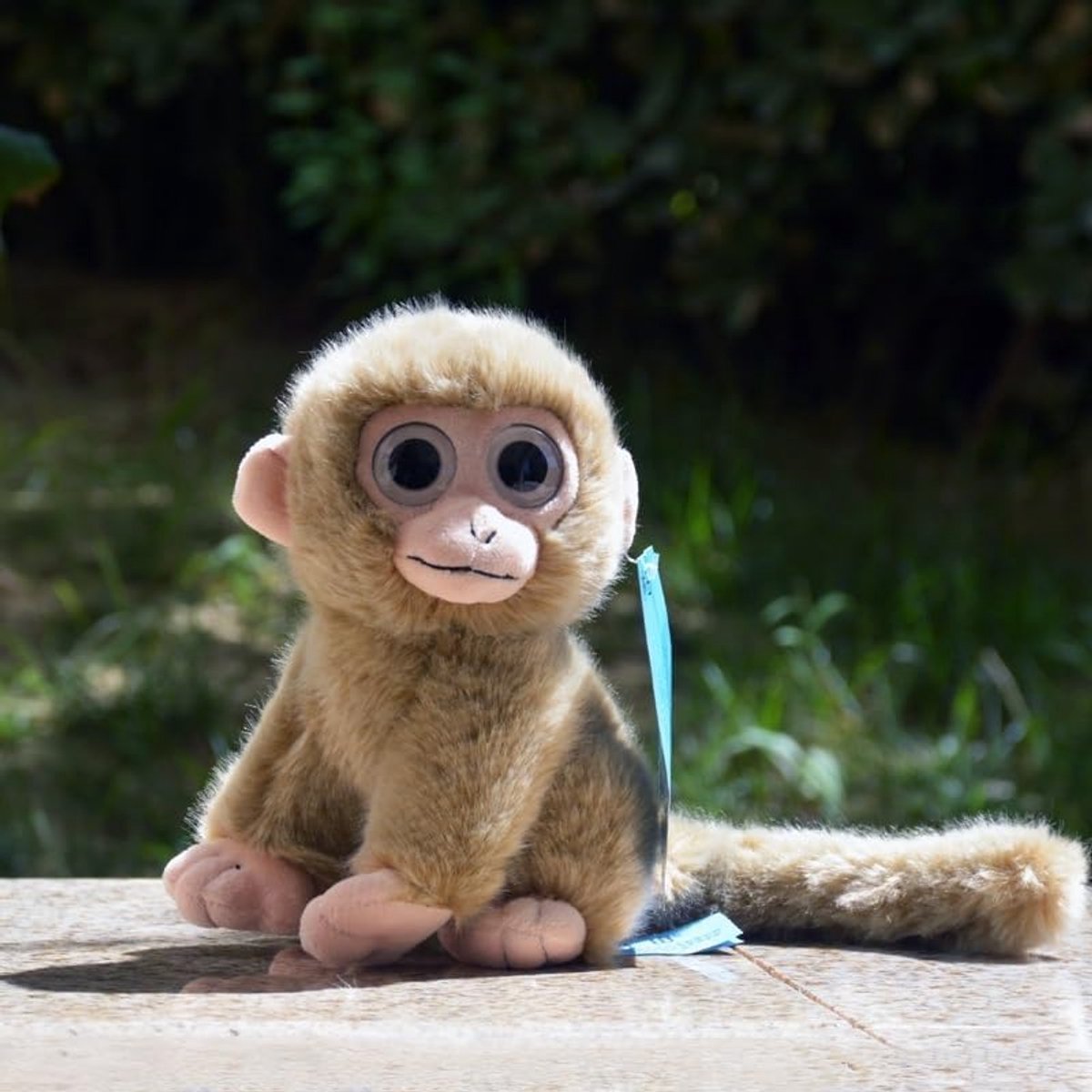 Knuffel Aap - Zacht Speelgoed - Kinderkamer Decoratie - Realistisch Uiterlijk - 20cm Hoog - Bruin Grijs
