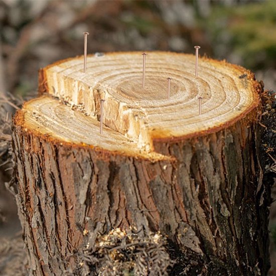 Koperen Nagels - Boomstronk Verwijderen - Tuinonderhoud - Duurzaam Massief Koper - 105 cm - Koper — afbeelding 4