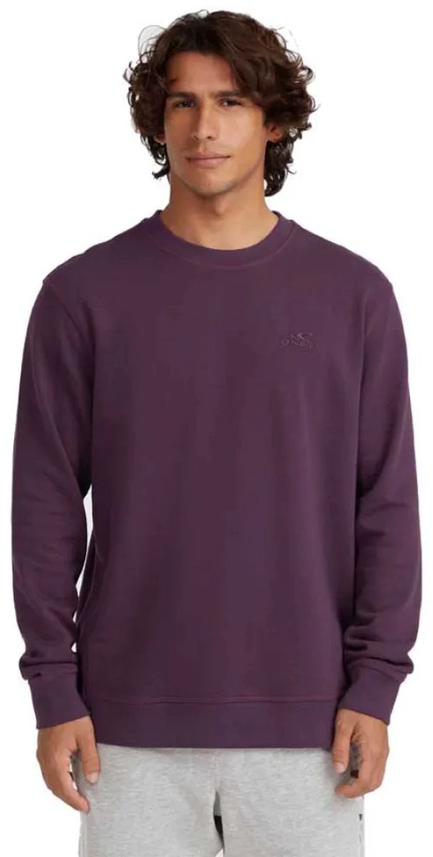 O´neill Small Logo Sweatshirt XL Man Paars