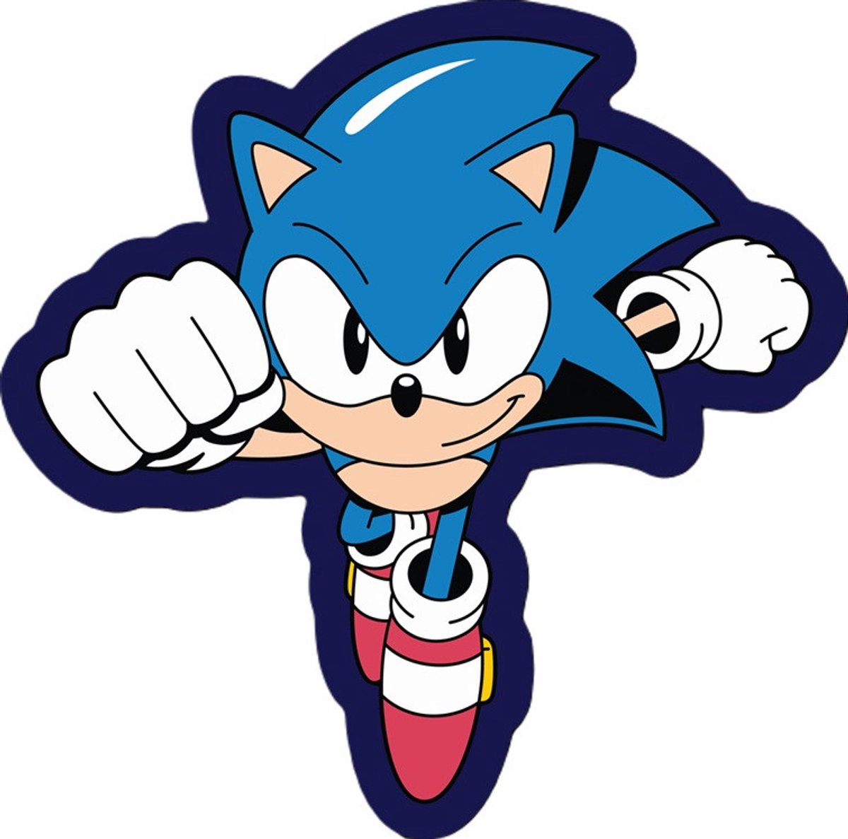 Kussen van Sonic