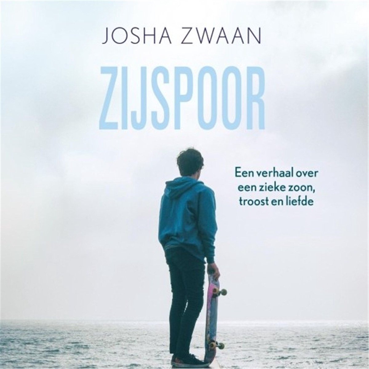 Omslag van Zijspoor