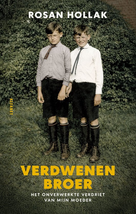 Verdwenen broer - cover