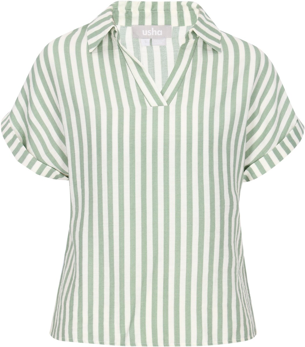 usha Blouse