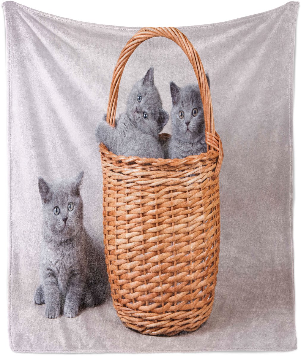 ABAKUHAUS Kitten Zachte Flanellen Fleece Deken, Britse Katten in Mandje, Gezellige Pluche Plaid, 125 x 175 cm, Grijs Lichtbruin Stof