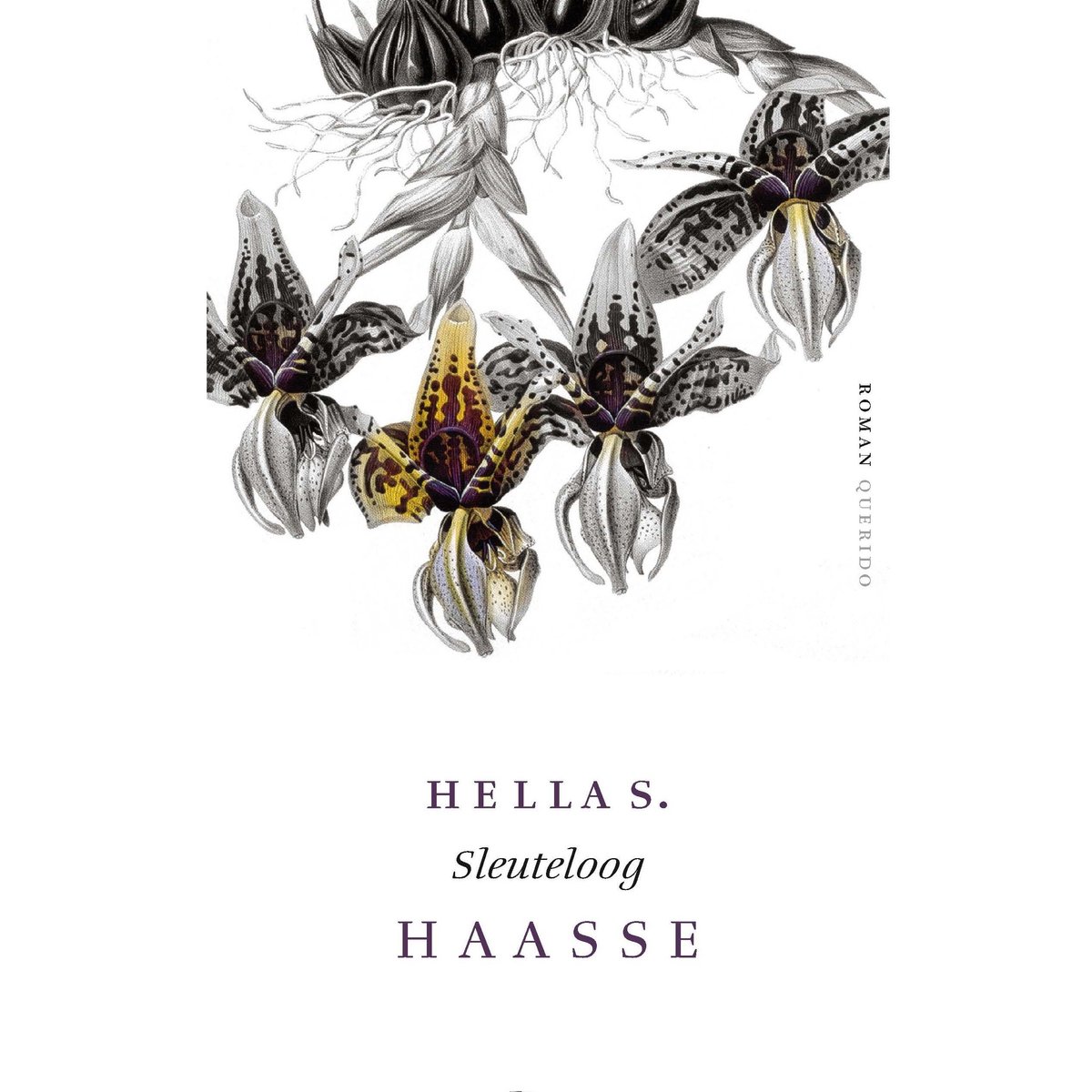 Omslag van Sleuteloog