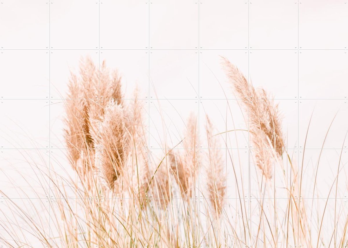 IXXI Pampas Grass, Ingrid Beddoes - 140 x 100 cm - Gratis ophangtool - Grote wanddecoratie en posters - Fotografie, Minimalisme, Slaapkamer