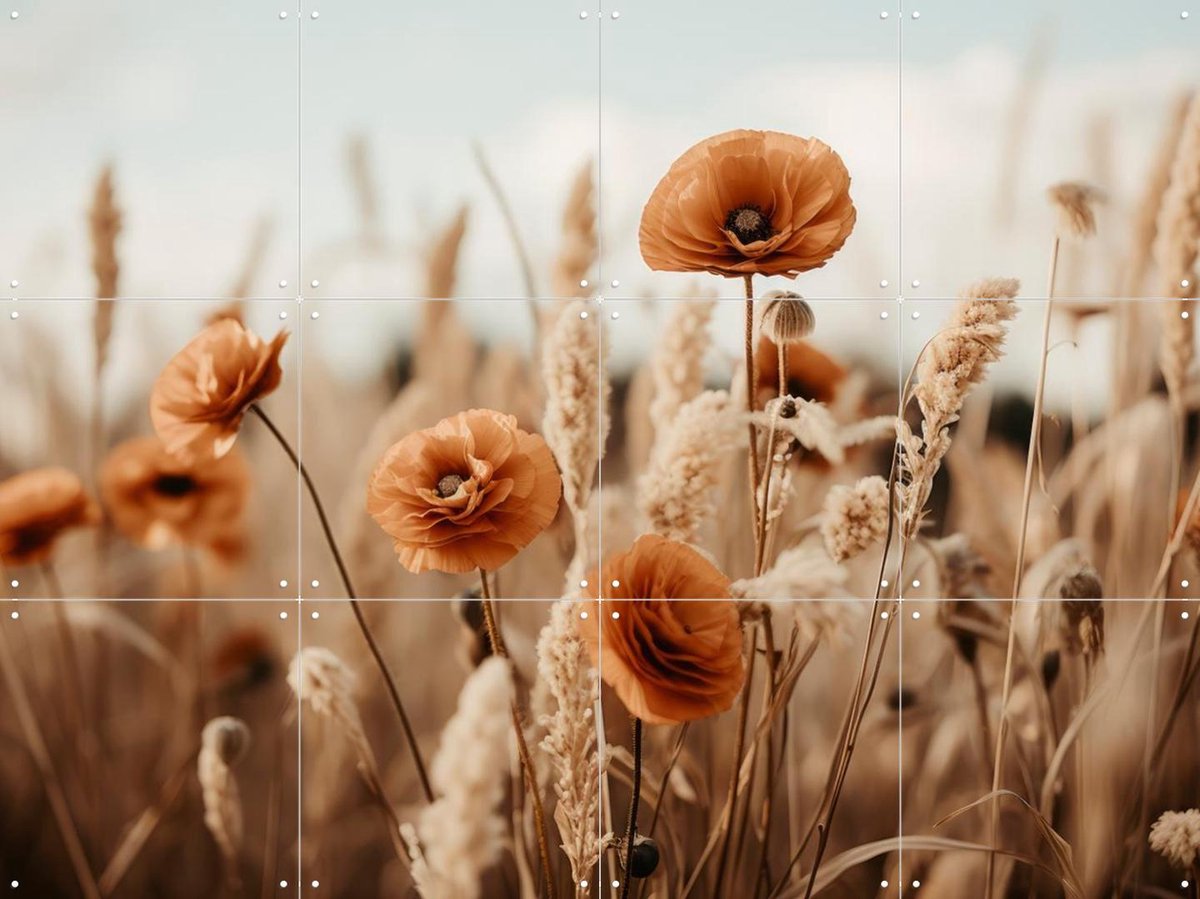 IXXI Orange Poppy Field, Treechild & Various - 80 x 60 cm - Gratis ophangtool - Grote wanddecoratie en posters - Naturalisme, Fotografie, Woonkamer