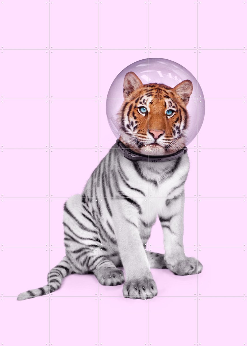 IXXI Space Tiger, Paul Fuentes - 100 x 140 cm - Gratis ophangtool - Grote wanddecoratie en posters - Surrealisme, Illustraties, Kleurrijk, Speels, Pop