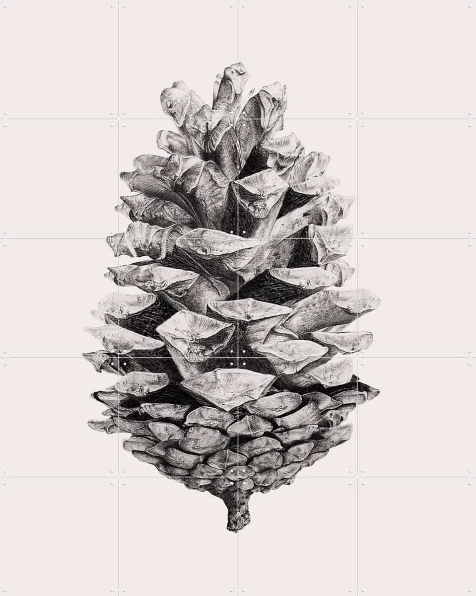 IXXI Pinecone, IXXI - 80 x 100 cm - Gratis ophangtool - Grote wanddecoratie en posters - Illustraties, Grafisch Ontwerp, Line art, Slaapkamer