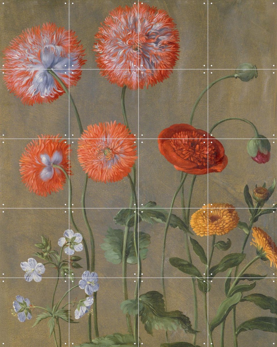 IXXI Poppies, Johann Jakob Walther & Victoria and Albert Museum - 80 x 100 cm - Gratis ophangtool - Grote wanddecoratie en posters - Realisme