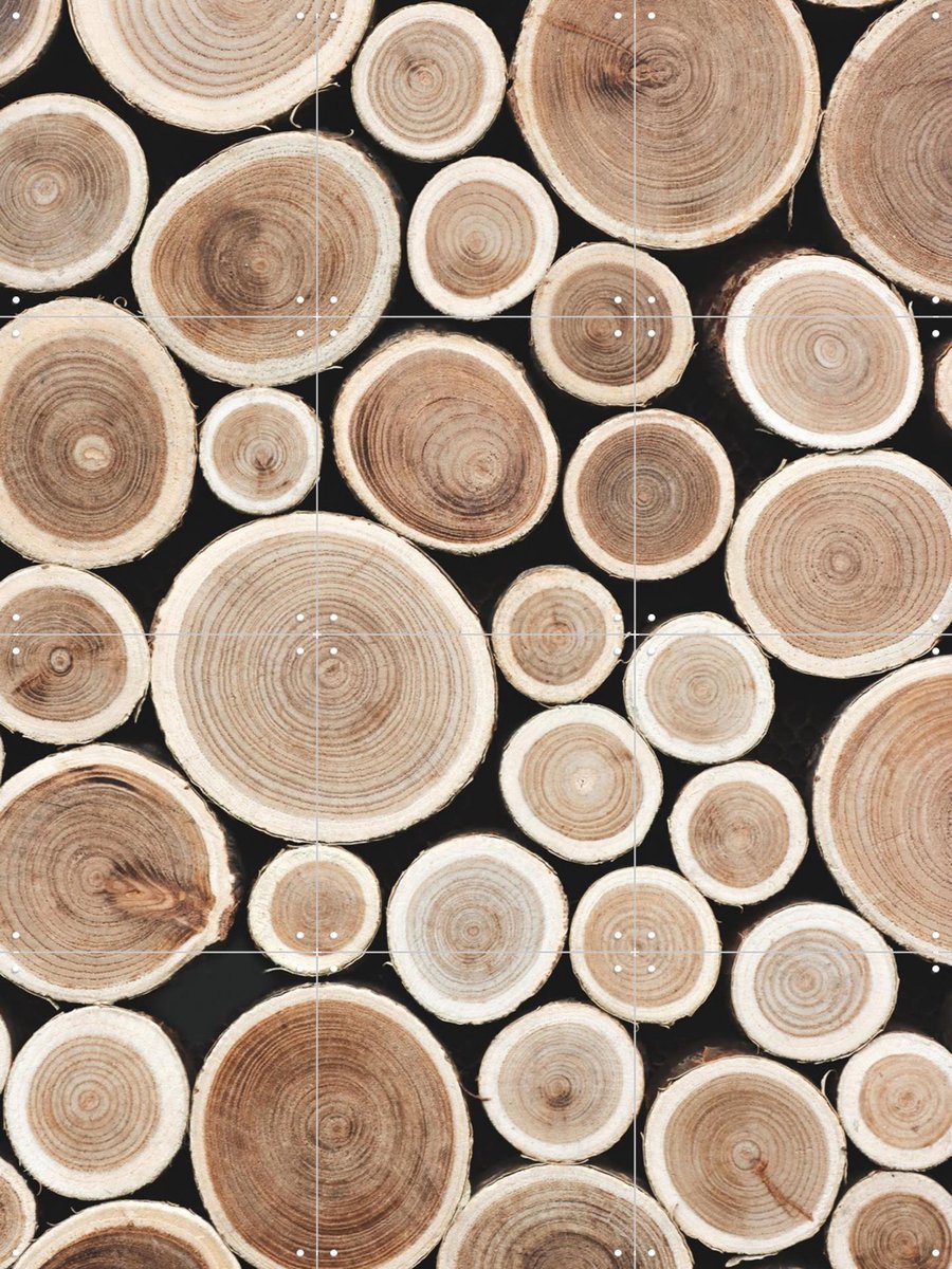 IXXI Cut Timber, Ingrid Beddoes - 60 x 80 cm - Gratis ophangtool - Grote wanddecoratie en posters - Naturalisme, Fotografie, Woonkamer, Slaapkamer